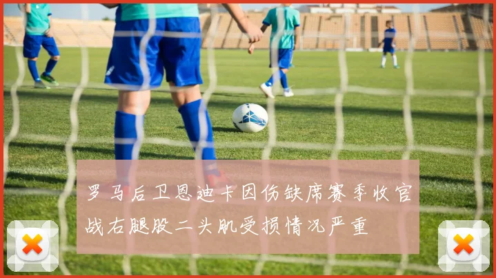 罗马后卫恩迪卡因伤缺席赛季收官战右腿股二头肌受损情况严重